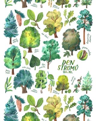 I stromy mají svůj svátek. 🌳 A ten je právě dnes. Svátek provází vysazování mladých stromků, komentované prohlídky parků a...