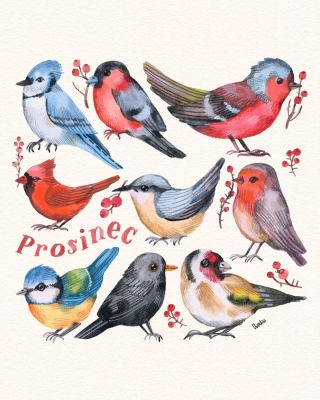 Prosinec není jen o zimě a Vánocích. ❄️ Je to měsíc, kdy se svět trochu ztiší, my se zachumláme do deky a s horkým čajem v...