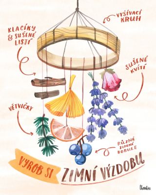 Na zimní výzdobu ještě není pozdě. ❄️ Vyrobte si ji snadno doma. Budete potřebovat jen vyšívací kruh, sušené ovoce, pár...